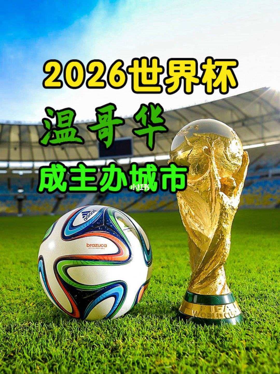 2026年世界杯（2026年世界杯分配名额）