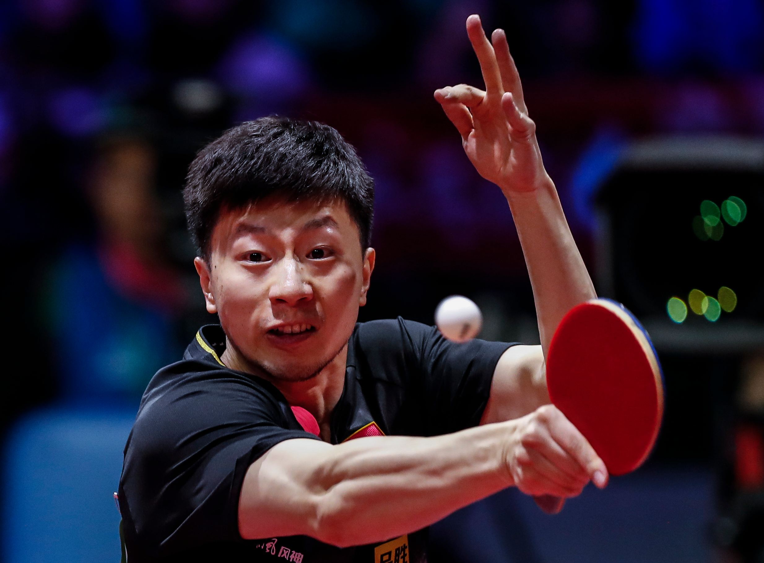 2019乒乓球世锦赛（2019乒乓球世锦赛刘诗雯丁宁）
